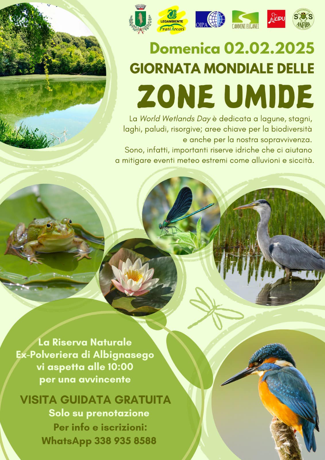 Locandina evento 2 febbraio 2025 Giornata mondiale delle zone umide organizzato da Lipu Padova alla Riserva Naturale Ex Polveriera di Albignasego.