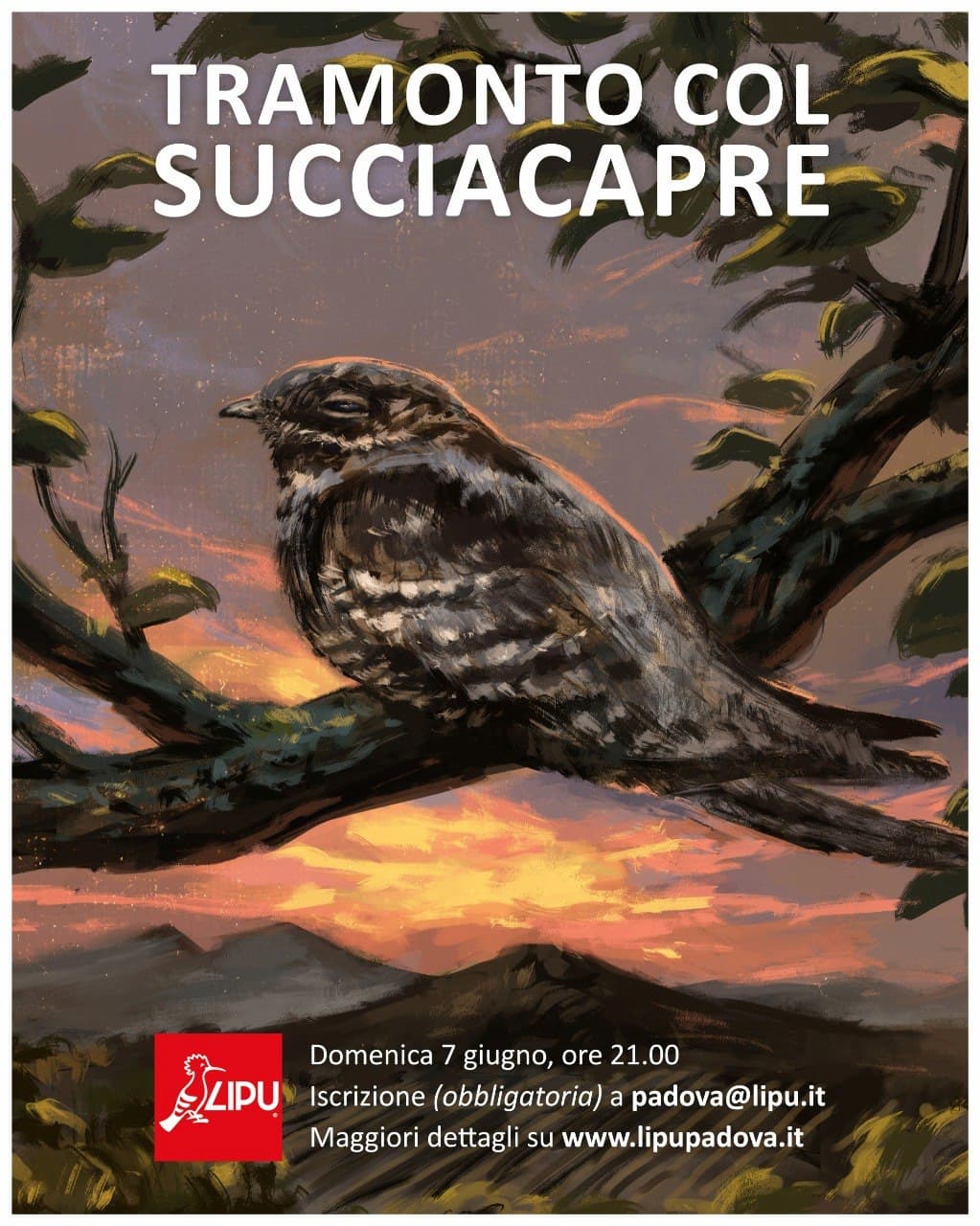 Locandina evento Tramonto col succiacapre
